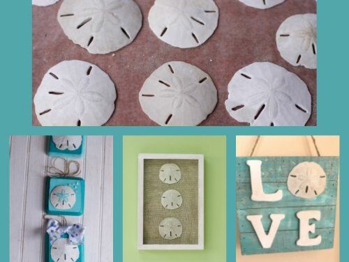 Three Sand Dollar Crafts To Remind You of Your Beach Vacation