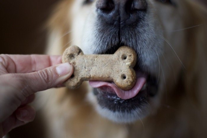 Dog Biscuits that Taste Like HOmemade 2