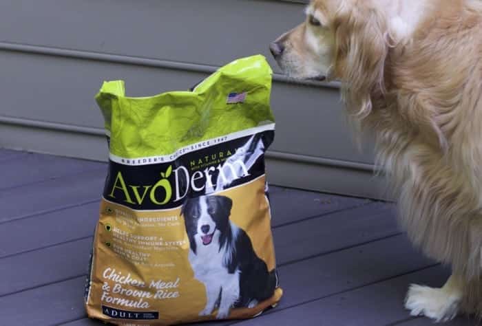 Superfood-Packed Dog Food from AvoDerm for Healthy Skin & Beautiful Coat