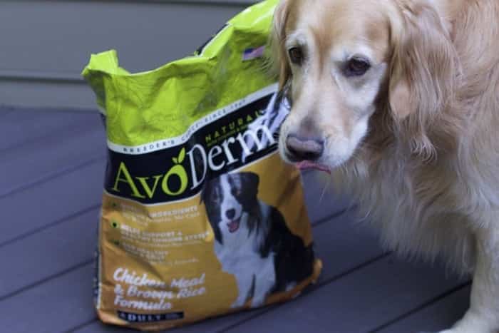 Superfood-Packed Dog Food from AvoDerm for Healthy Skin & Beautiful Coat