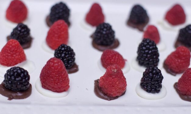 Easy No Bake Desserts: Chocolate Berry Bites