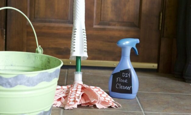 The Most Important Thing in my Fall Cleaning Toolkit