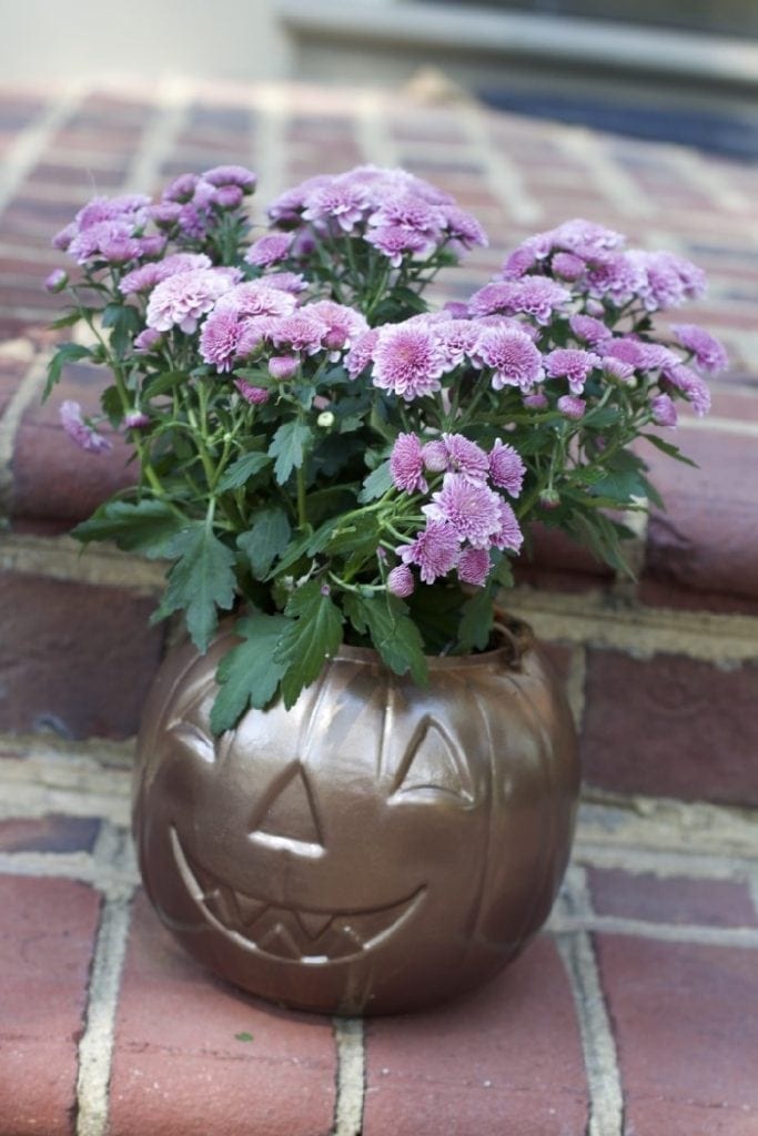 how to make planters out of plastic pumpkins