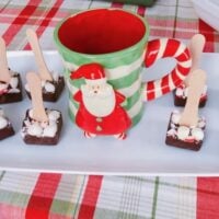 Hot Cocoa On a Stick