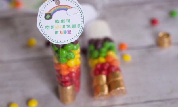 Skittles Rainbow St Patricks Day Treat Bags