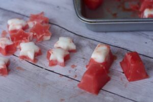 frozen watermelon dog treats