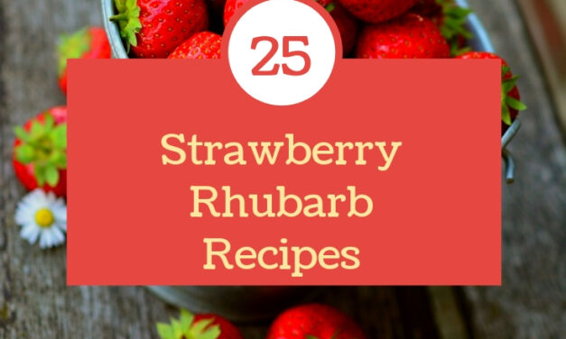 25 Sweet & Savory Strawberry Rhubarb Recipes