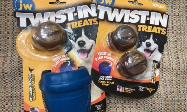 Dog Toys Treat Dispensers to Keep Dogs Busy