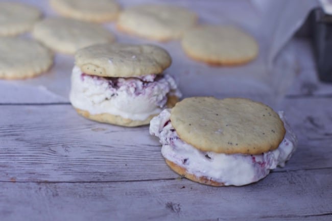 Lemon Poppy Seed Cookies for Berry Ice Cream Sandwiches