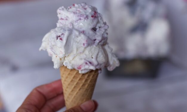 No Churn Berry Ice Cream Recipe