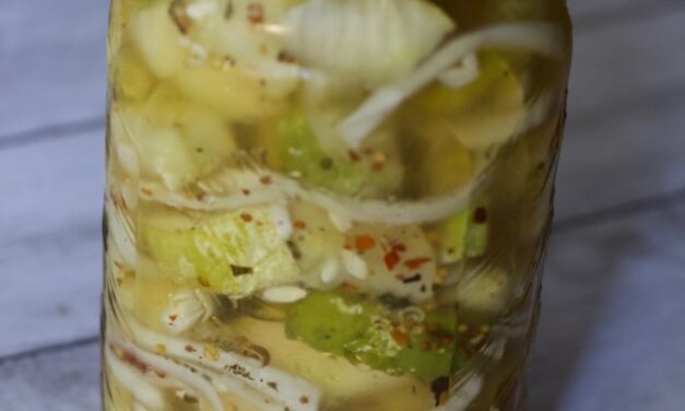 Refrigerator Bread and Butter Pickle Chunks