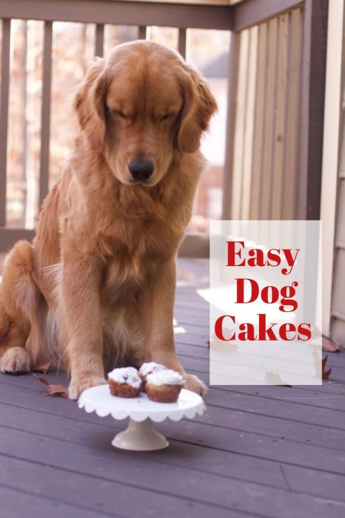 dogs cake recipe birthday