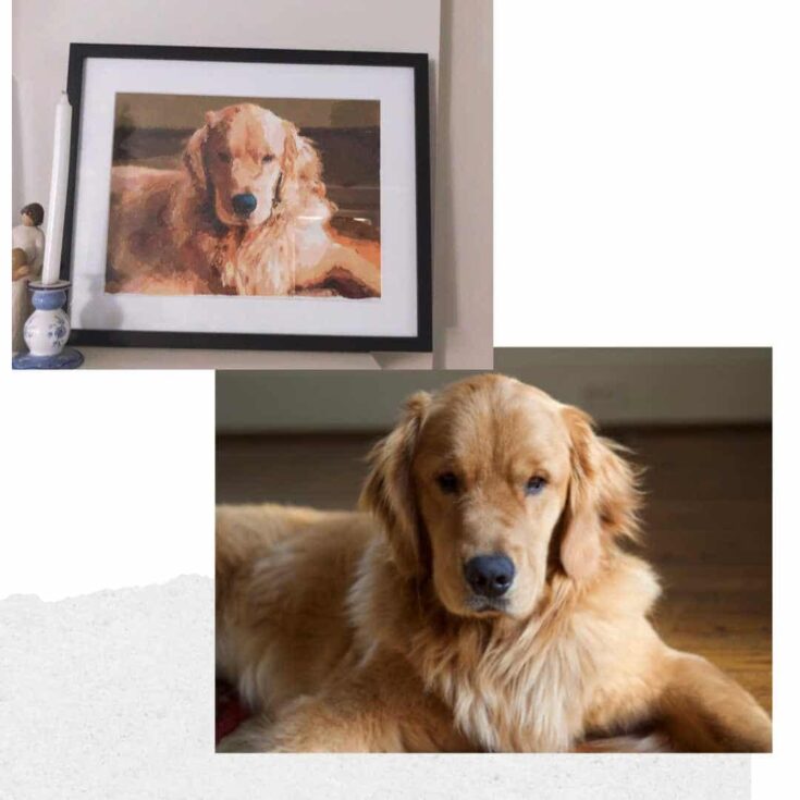 Image for Custom Paint By Numbers Kit From Photos