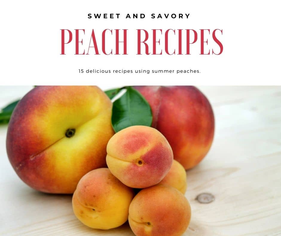 sweet and savory peach recipes