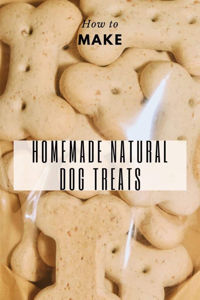 Homemade dog treats pin